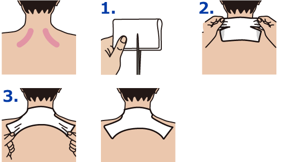 Various Applications Salonpas 